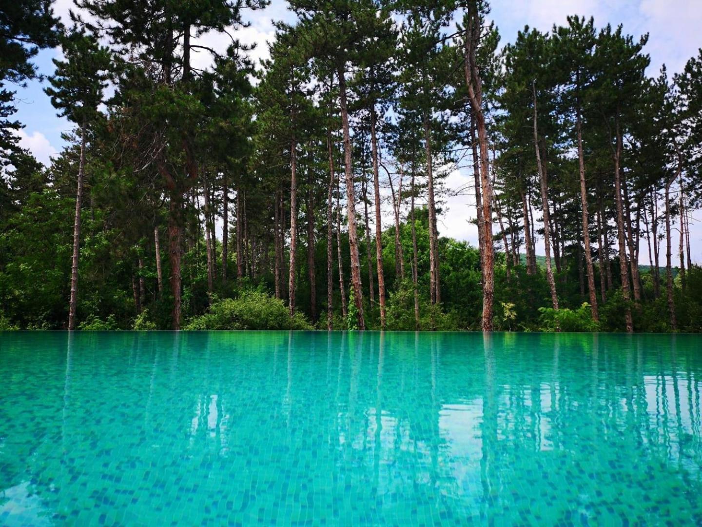 D Villa Mineralni Bani Buitenkant foto